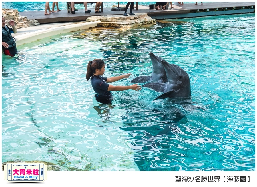 聖淘沙名勝世界必玩@海豚園體驗海豚伴遊@大胃米粒0026.jpg
