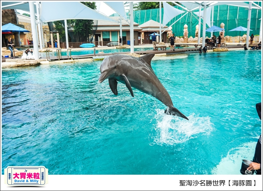 聖淘沙名勝世界必玩@海豚園體驗海豚伴遊@大胃米粒0034.jpg