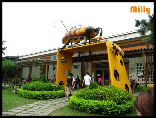 雲林景點推薦║9人行-蜜蜂故事館HONEY MUSEUM+綠色隧道景觀公園