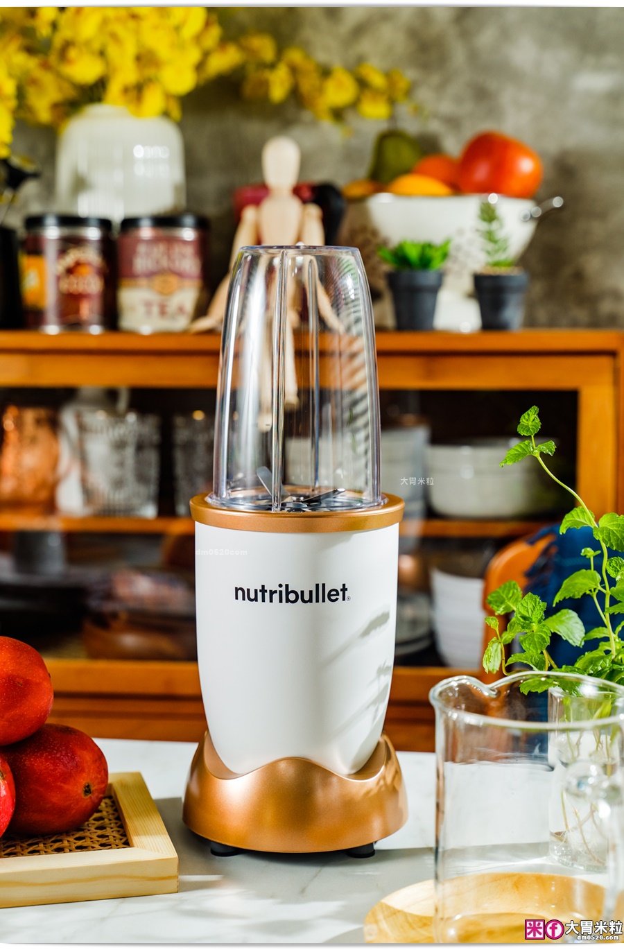 Nutribullet 600W高效營養萃取機
