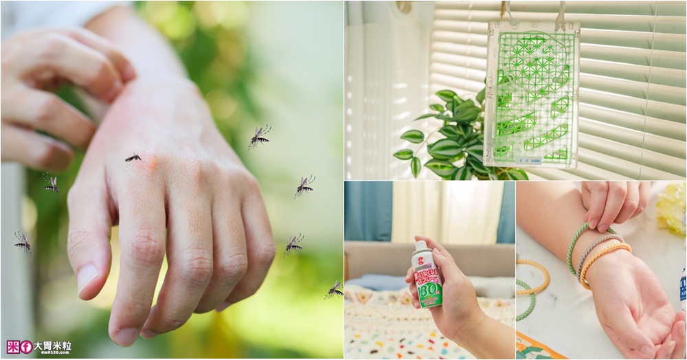 房間一直有蚊子怎麼辦？夏天晚上睡覺如何防蚊？簡單分享七招居家室內防蚊方法+滅蚊絕招！