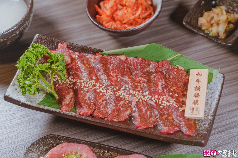 桃園高CP值燒肉套餐│川三上選燒肉桃園店(菜單)│連YT大胃王都讚不絕口的高CP值燒肉~聚餐推薦│一次品嚐日美澳和牛│桃園燒肉推薦│桃園烤肉聚餐推薦