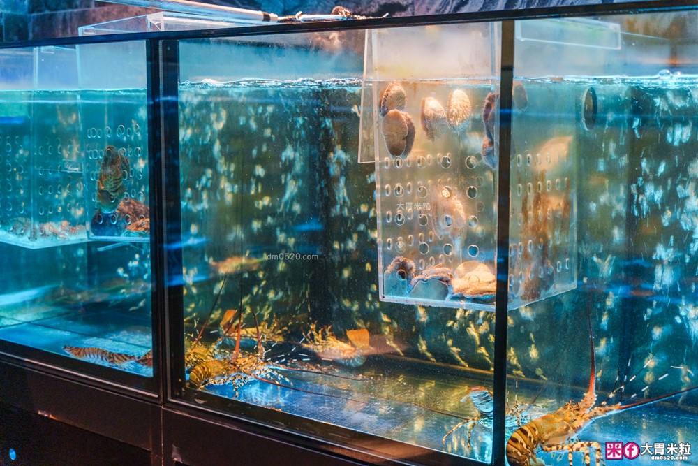 台北米其林火鍋推薦「文華精品 但馬家涮涮鍋」超值午間雙人套餐6折就能開吃，打卡加送澎湖牡蠣(平日限定)