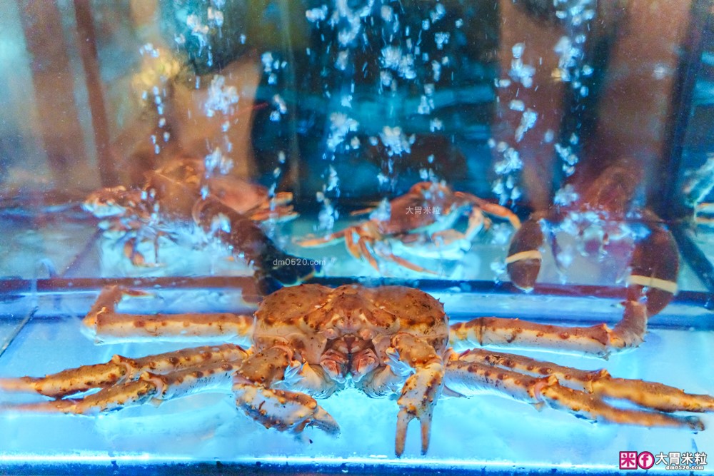 台北米其林火鍋推薦「文華精品 但馬家涮涮鍋」超值午間雙人套餐6折就能開吃，打卡加送澎湖牡蠣(平日限定)