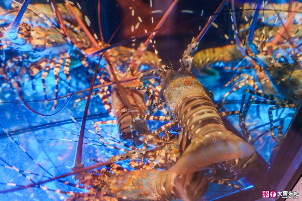 台北米其林火鍋推薦「文華精品 但馬家涮涮鍋」超值午間雙人套餐6折就能開吃,打卡加送澎湖牡蠣(平日限定) 台北米其林火鍋推薦「文華精品 但馬家涮涮鍋」超值午間雙人套餐6折就能開吃,打卡加送澎湖牡蠣(平日限定)