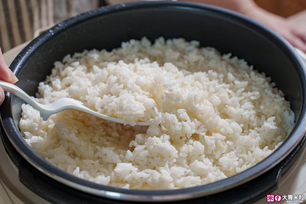 上班族晚餐救星「奇美4L微電腦智慧變壓全能鍋」煮飯最快8分鐘一鍋搞定~12道模式煮滷燉炒一鍋搞定