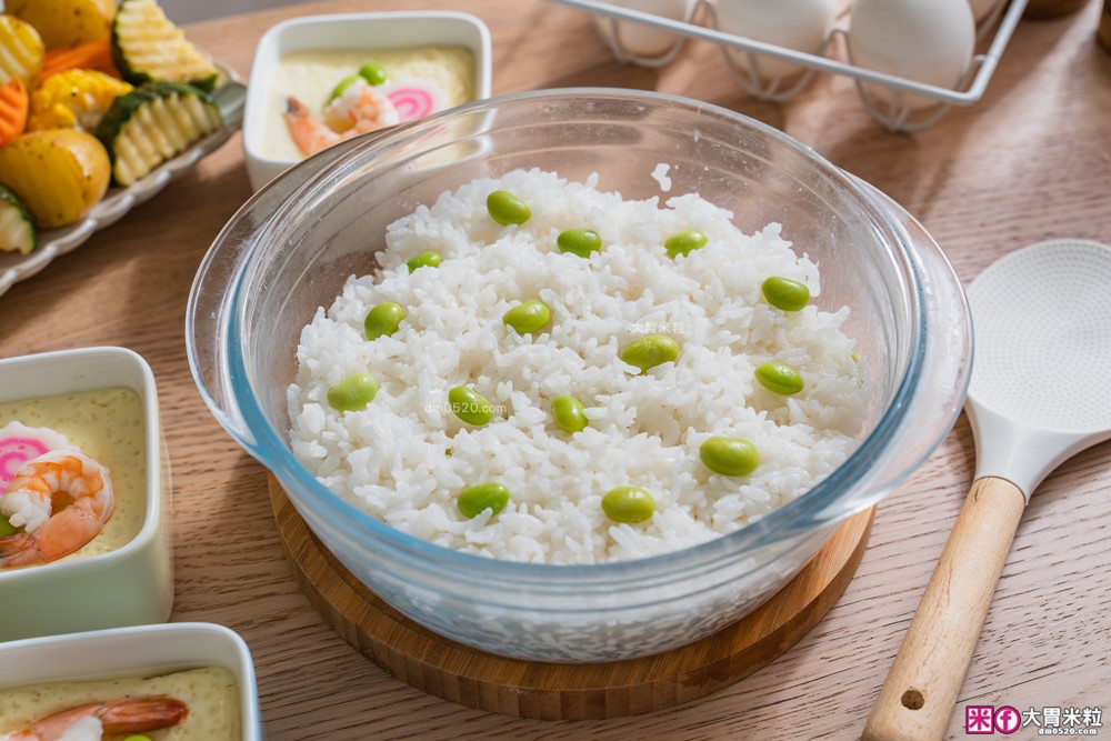 上班族減脂救星「BOSO蒸氣氣炸鍋」蒸炸煮舒肥全能王/120°C蒸氣黑科技/減油90%~宅家變身義式餐酒館