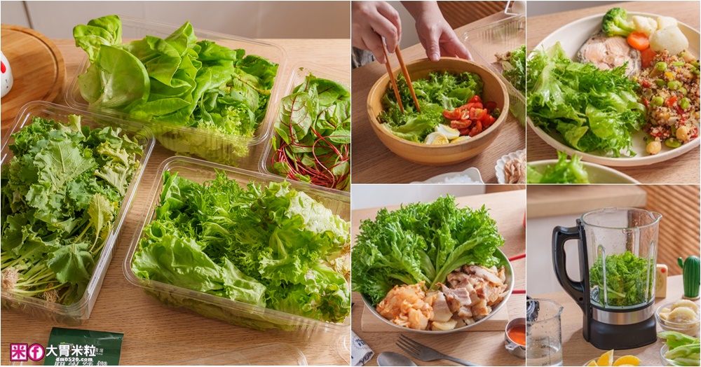網站近期文章：【源鮮智慧農場】鮮活蔬菜箱開箱｜五星餐廳指定生菜！健身減脂/上班族免備餐，一箱搞定健康一日三餐