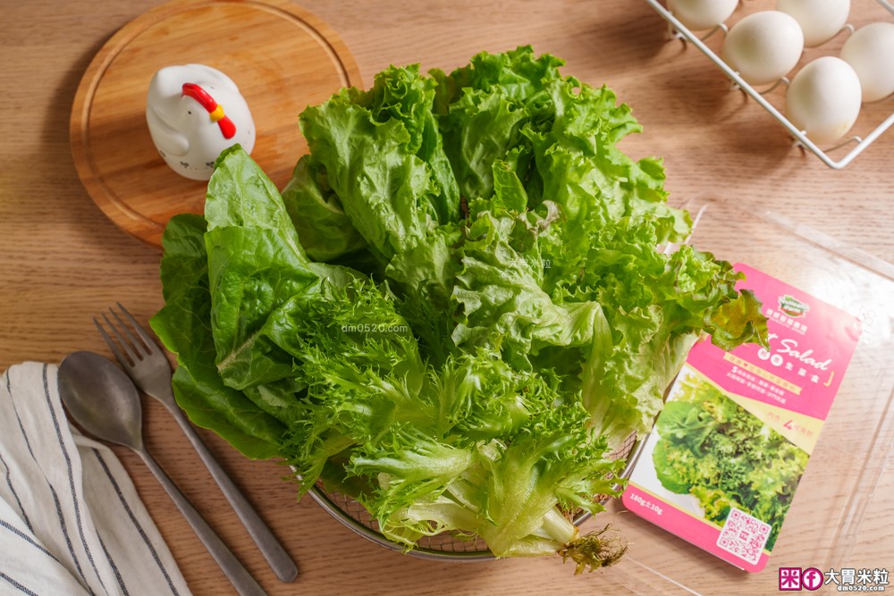 【源鮮智慧農場】鮮活蔬菜箱開箱|五星餐廳指定生菜!健身減脂/上班族免備餐,一箱搞定健康一日三餐 【源鮮智慧農場】鮮活蔬菜箱開箱|五星餐廳指定生菜!健身減脂/上班族免備餐,一箱搞定健康一日三餐