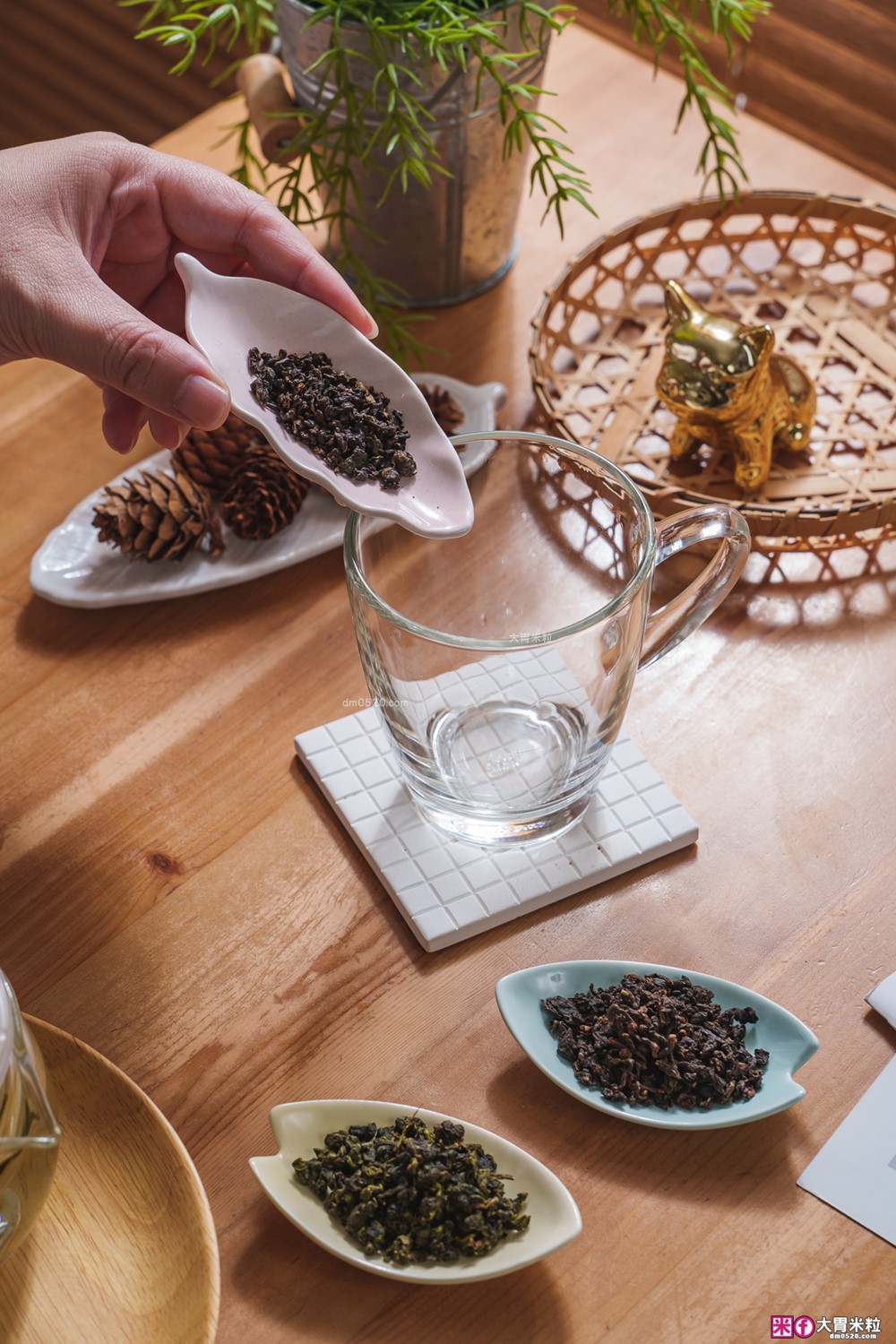 杰興茶行評價│蝦皮月銷破百包烏龍綠茶+紅茶開箱，三代製茶工藝~冷泡熱泡都好喝│冷泡茶葉推薦